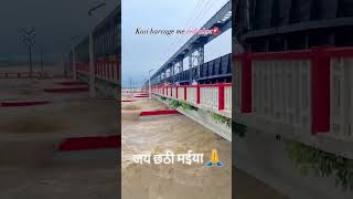 Nepal to India water sel and kosi river border pul trending youtubeshorts voralvideo 😥🥺😥 [upl. by Atteynek212]