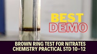 BEST DEMO  NITRATE IONS NO3 DETECTION  BROWN RING TEST  H2SO4  CHEMISTRY STD 1012 [upl. by Oidale]