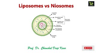 Liposomes vs Niosomessaiedupharmaa ndds [upl. by Annawik]