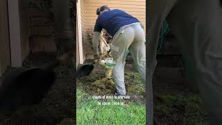 How We Cleaned a Shed Roof Directly Underneath a Deck  Seattle  Portland  Vancouver WA [upl. by Neeloj]