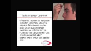 Neurology  Topic 5d  Cranial Nerve 5 with notes [upl. by Bohi]