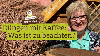 Düngen mit Kaffee Für welche Pflanzen geeignet was ist zu beachten [upl. by Ahsinirt]