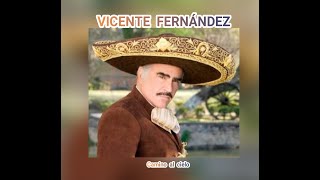 VICENTE FERNÁNDEZ  CAMINO AL CIELO LETRA [upl. by Niwled]