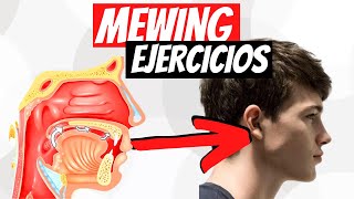 MEWING EJERCICIOS  Todo Lo Que Necesitas Saber [upl. by Sorce]