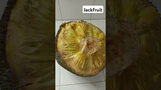 Yellow Jackfruit  verysweet ripe yellow  Nelia Creasey [upl. by Sykleb]