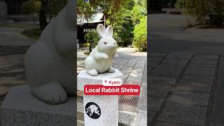 Welcome to Kyotos Adorable Rabbit Shrine 🐰 [upl. by Aninat555]