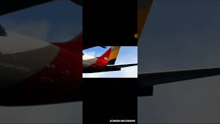 Asiana flight 214 music cover jpop song rock aviation minecraft bear [upl. by Eikcuhc]