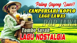 Koplo Campursari POP Jawa Gayeng Seindonesia 2024  Jalan Pegunungan Wonosobo Jawa Tengah [upl. by Uohk82]