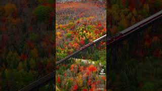 Exploring Agawa Canyon fall colors autumn in Sault Ste Marie ontariooutdoors [upl. by Kenric]