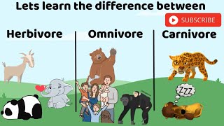 Lets learn the difference between herbivore omnivore carnivore [upl. by Ulises]