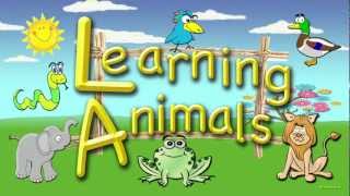 For Toddlers  Learning Animals An Educational Video for Preschoolers [upl. by Eerihs798]