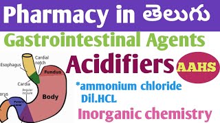 Gastrointestinal Agents acidifiers in తెలుగు  bpharm 1st sem  inorganic chemistry unit 3 [upl. by Edith]