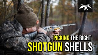 How To Choose the Correct Shotgun Shells  Duck Vlog Ep13 [upl. by Larimor]