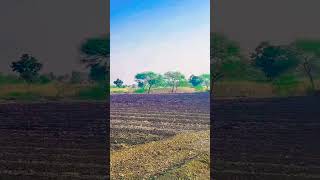 Zamindar Rajkumar dialogue trend trekintech indainfarmer farming parmananddham parmanandji [upl. by Lorene914]