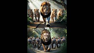 Simba vs Scare [upl. by Kristoforo]