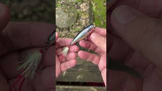 Rapala Skitter Pop 11 09 2024 jeffmcgovern pestcoach rapala topwaterlure [upl. by Ahsemit659]