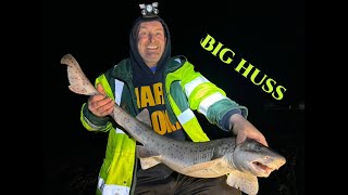 Big huss form bull Bay Anglesey UK sea fishing with Gamekeeper John [upl. by Cir]