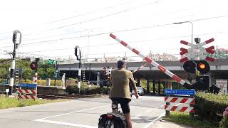 Spoorwegovergang Hollandsche Rading  Dutch Railroad Crossing [upl. by Zarla]