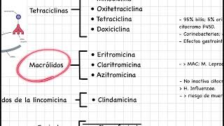 Farmacología básica antibióticos inhibidores de la síntesis de proteínas [upl. by Gnemgnok]