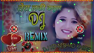 TERA LUCKY KABOOTAR DJ REMIX [upl. by Eylsel]