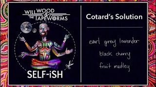 Cotards AcapellaHilarious😂 No Instruments Cotards solution  Will Wood and the Tapeworms [upl. by Eart]