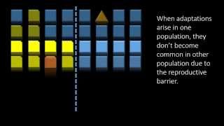 Evolution and Speciation Animation [upl. by Moriarty93]