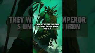 14th Legion The Death Guard – From Unbreakable Warriors to Plaguebearers grimdark warhammer40k [upl. by Norford]