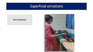 Sensory System Examination  CNS Examination  Pediatrics [upl. by Alabaster]