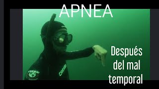 Despues del mal temporal APNEA [upl. by Atnohs]