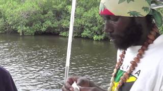 SNOOK FISHING IN NEGRIL JAMAICA [upl. by Llemaj]