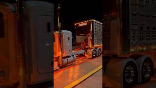 BULL HAULERS SWEET PETERBILT bradweilert [upl. by Rebm]