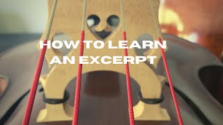 How to learn an excerpt  Bottesini Elegy no 1 [upl. by Seugirdor522]