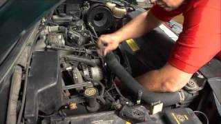 How To Install An Alternator In A Ford F150  46 Liter [upl. by Lunt]