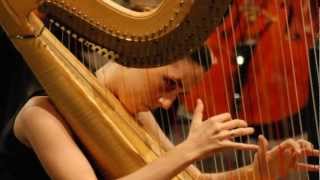 Wolfgang Amadeus Mozart  Concerto for Flute and Harp in C major K 299 II Andantino [upl. by Ethelind423]