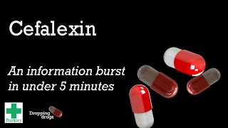 Cefalexin information burst [upl. by Anih]