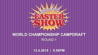 World Championship Campdraft  Round 1 [upl. by Inaffets140]