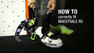 HOW TO Correctly fit MAESTRALE RS [upl. by Aleak]