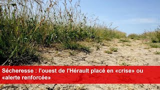 Sécheresse  louest de lHérault placé en «crise» ou «alerte renforcée» [upl. by Roselane]