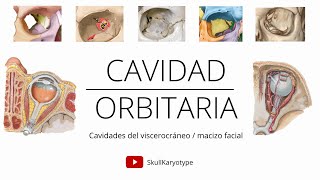 CAVIDAD ORBITARIACAVIDADES DEL VISCEROCRÁNEO [upl. by Butcher558]