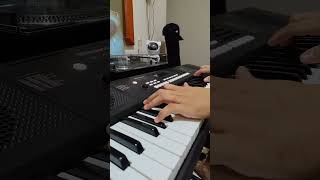 Yiruma  Kiss the Rain  Roland EX10 Arranger Keyboard [upl. by Rehpotsirh]