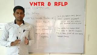 DNA fingerprinting VNTRs and RFLP [upl. by Richmal]