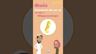 25  Quiz Comment dit on en Arabe  Tortue marine  Hippocampe  Crevette [upl. by Hesta]