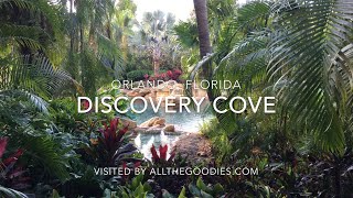 Discovery Cove Orlando 4K  allthegoodiescom [upl. by Eimor]