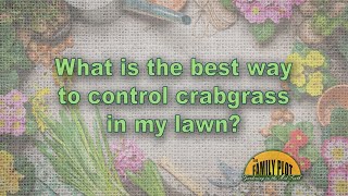 What is the best way to control crabgrass in my lawn [upl. by Scoles]