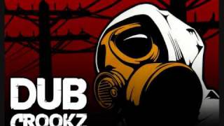 Dub Crookz  8 Bit [upl. by Alraep]