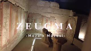 Zeugma Mosaico del Museo  Zeugma Mozaik Müzesi [upl. by Adamsun634]