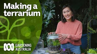 How to make a terrarium  Indoor plants  Gardening Australia [upl. by Eira]