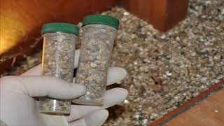 Vermiculite Great Insulation Asbestos Safety What does Vermiculite Look Like [upl. by Jyoti594]