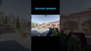 Тактика для CS2 shorts cs2 steam gaming приколы [upl. by Arahsal]