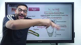 summary autotrophic nutrition  2nd secondary [upl. by Fries]